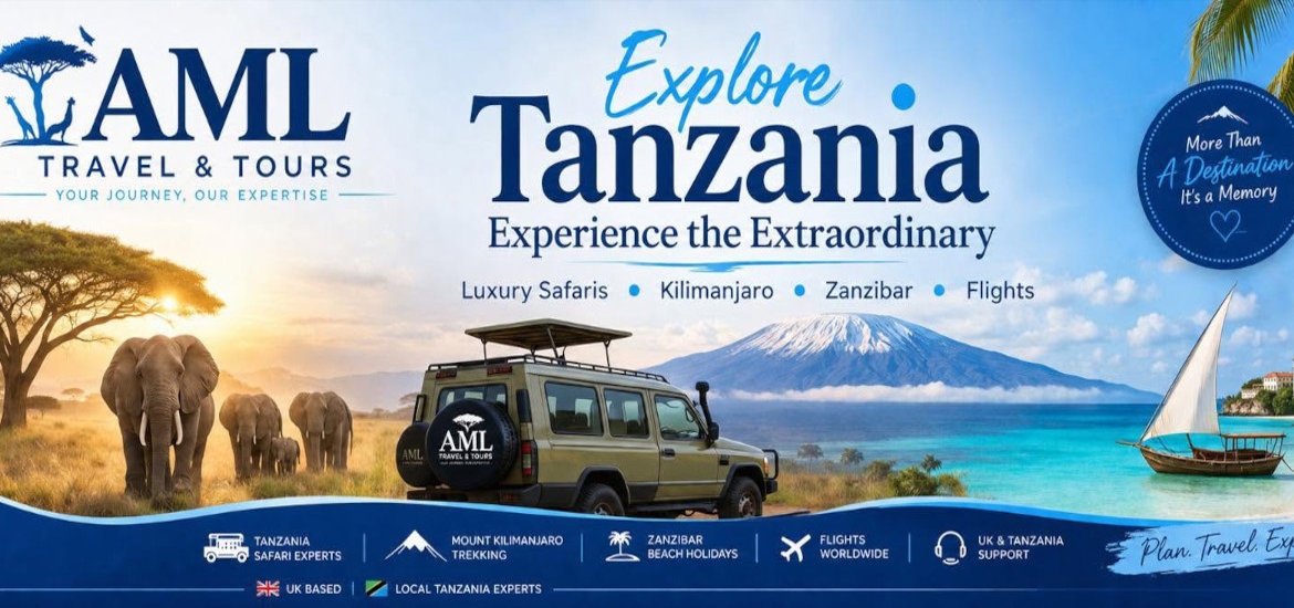 AML Travel & Tours